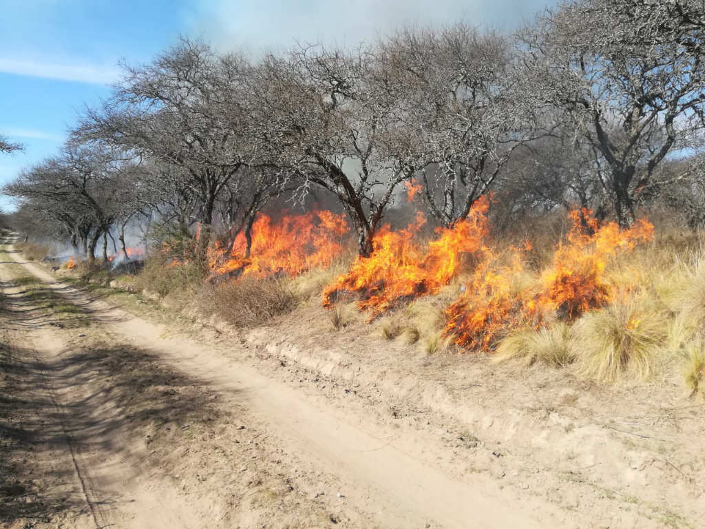 Finalizó el período de quemas prescritas en La Pampa maracódigital net