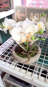 Adornos plantas artificiales orquídea maceta piedra