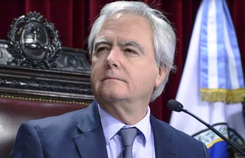 Federico Pinedo: "El Presidente se retiró del ejercicio de la presidencia"  - lareforma.com.ar