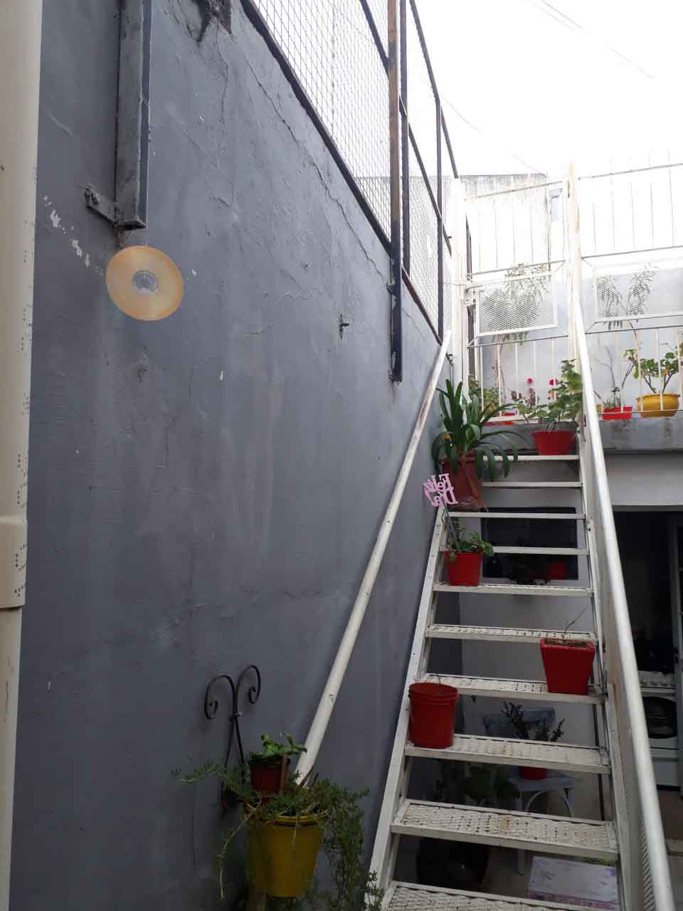 El uso de discos compactos ‘espanta a las palomas’, aseguran vecinos de la zona céntrica.