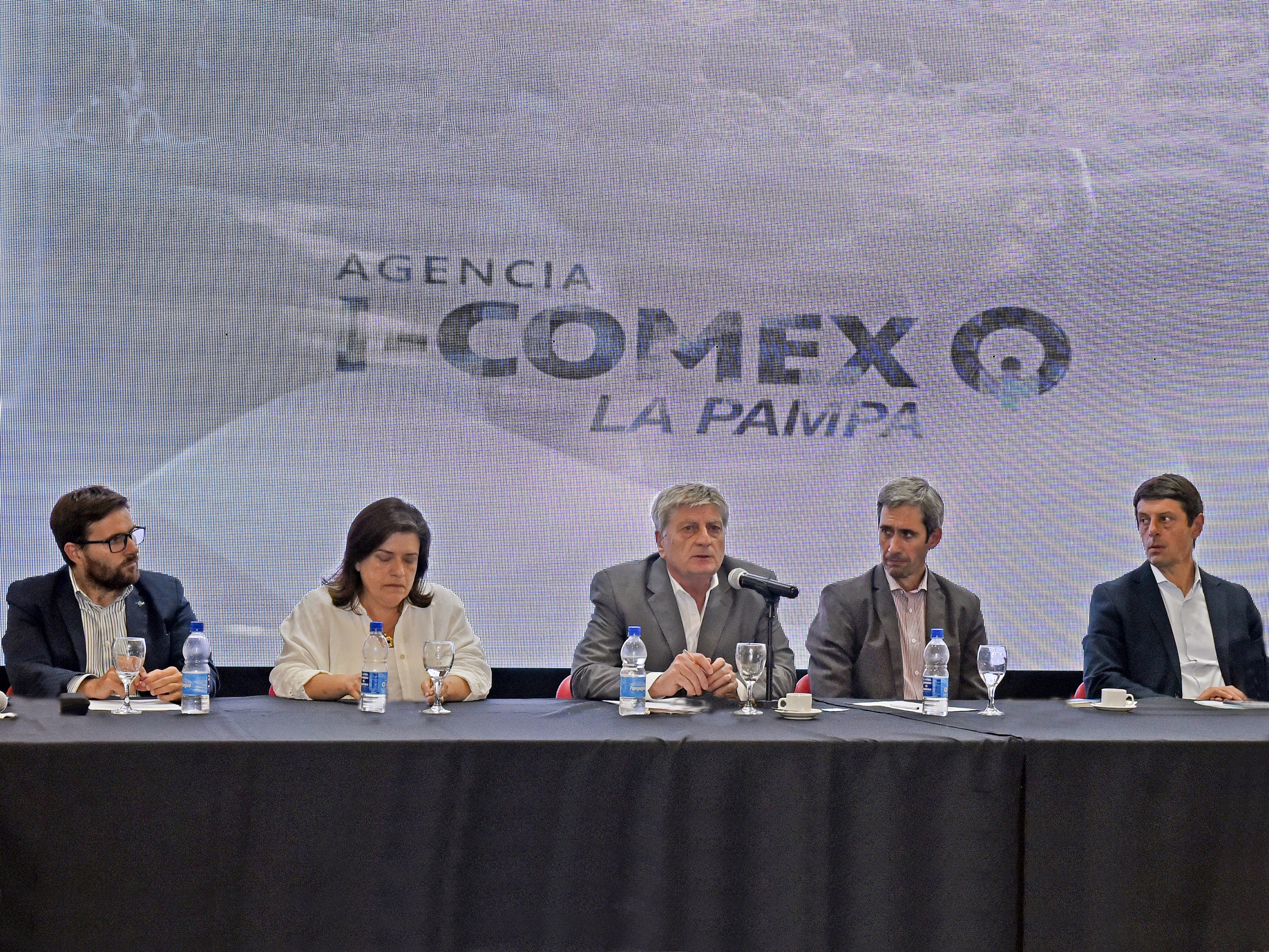 I-COMEX: dos años impulsando inversiones y potenciando las exportaciones  pampeanas 