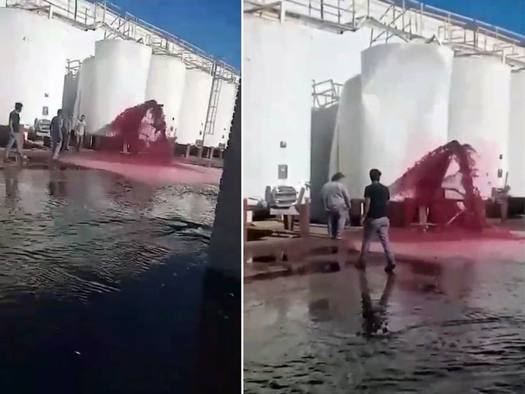 Mendoza Por Un Insólito Error En Una Bodega Se Perdieron 15000 