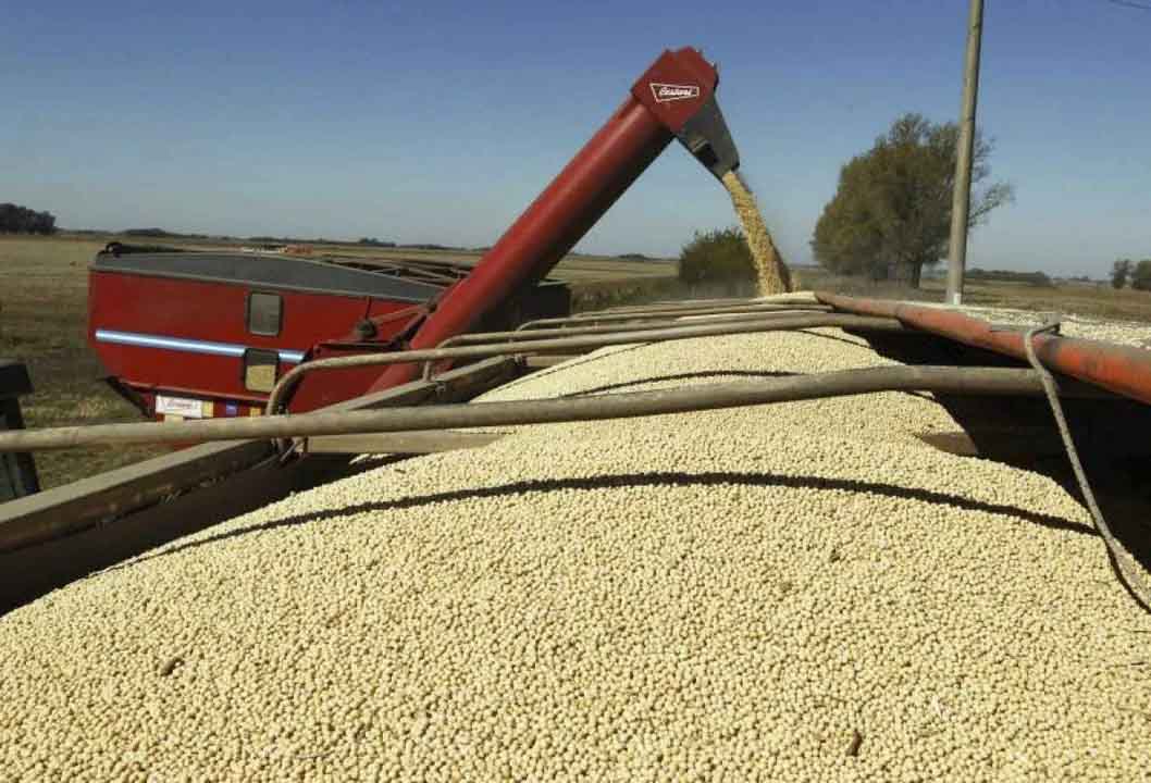 La cosecha agropecuaria será superior a la prevista.