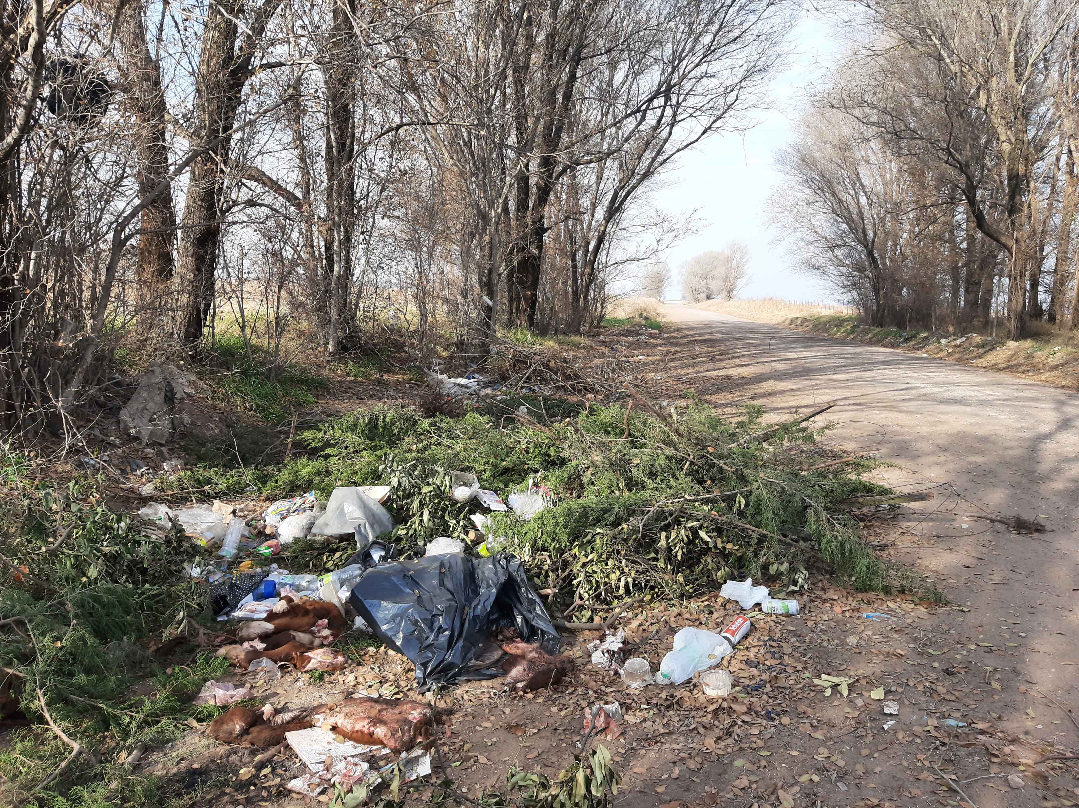 Basura de todo tipo permanecía acumulada a la vera de la Ruta Provincial Nº 4.