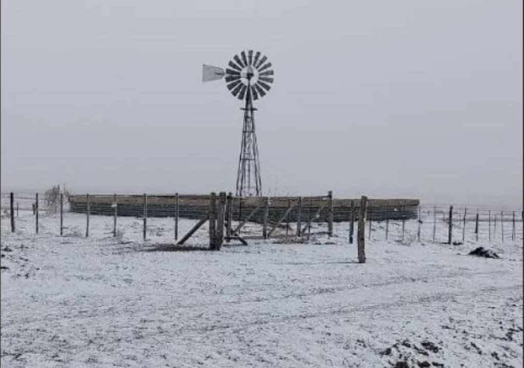 La nieve cayó sobre varias localidades del sudoeste pampeano.