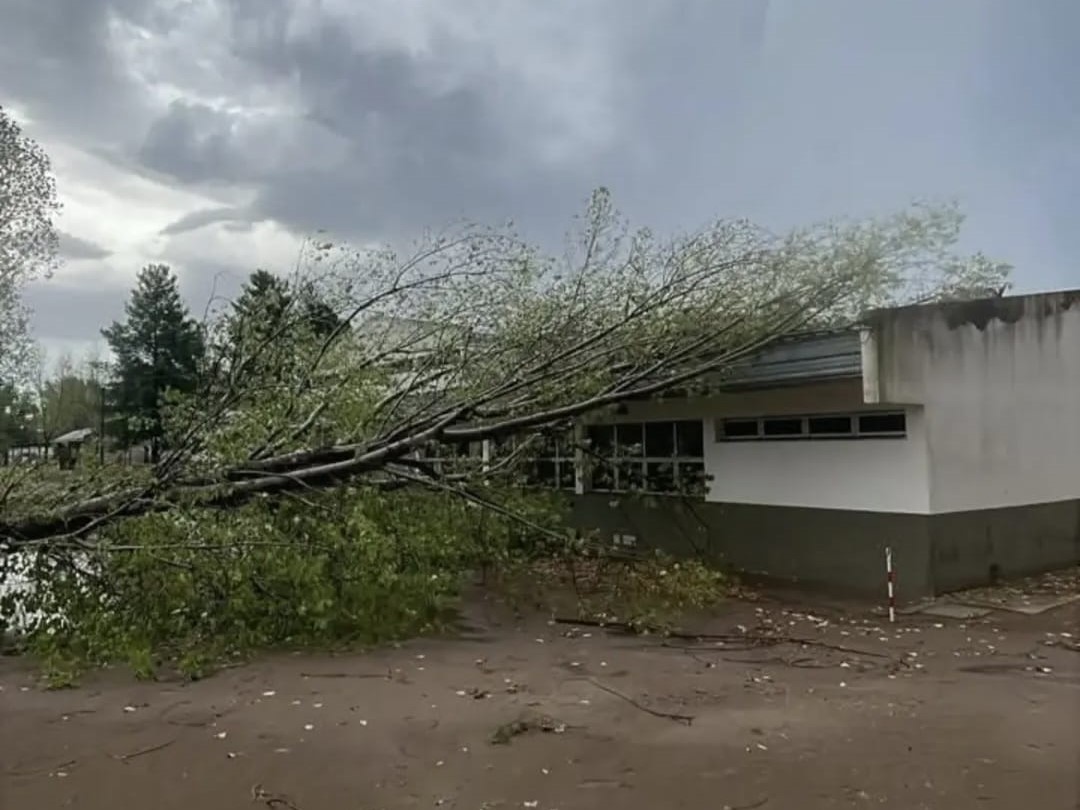 La Escuela Agrotécnica de General Acha sufrió la caída de más de 20 árboles.