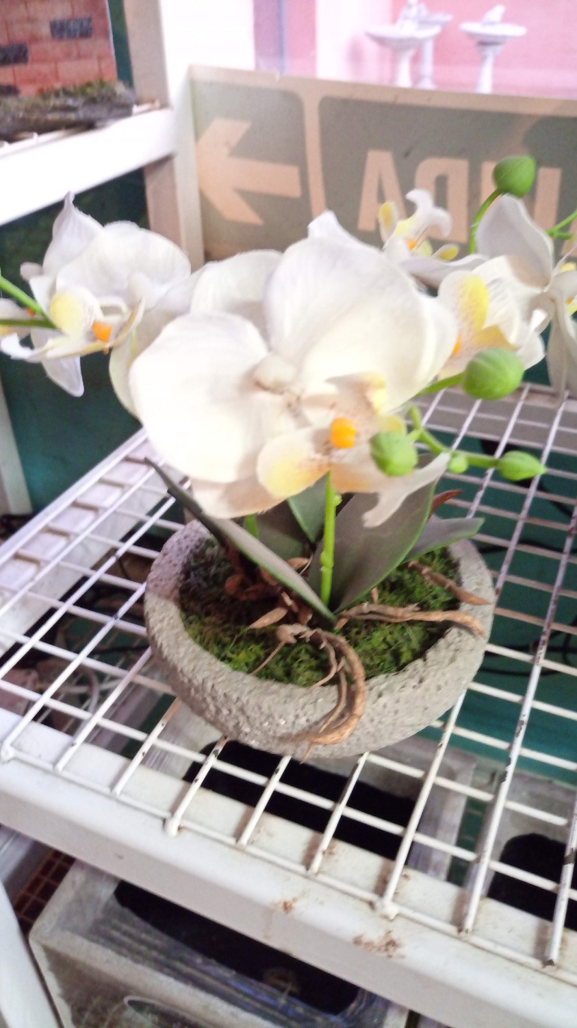Adornos plantas artificiales orquídea maceta piedra - Cultivos Asquini