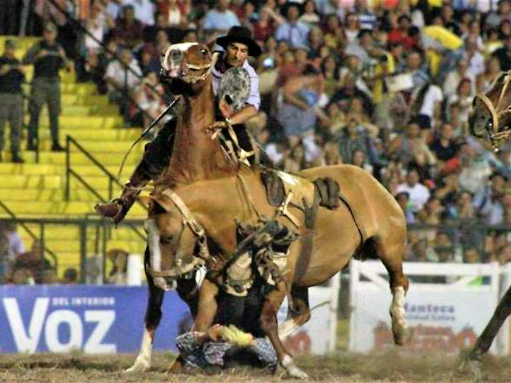 Tras Un Mes En Coma Despertó El Jinete Que Fue Aplastado Por Un Caballo En Jesús María 8376