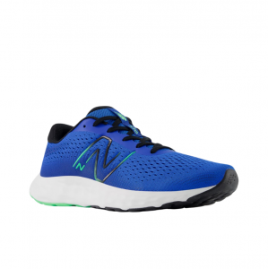 Zapatilla New Balance 520 v8